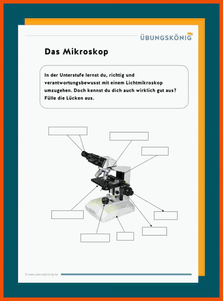 Das Mikroskop Fuer Mikroskopieren Arbeitsblatt