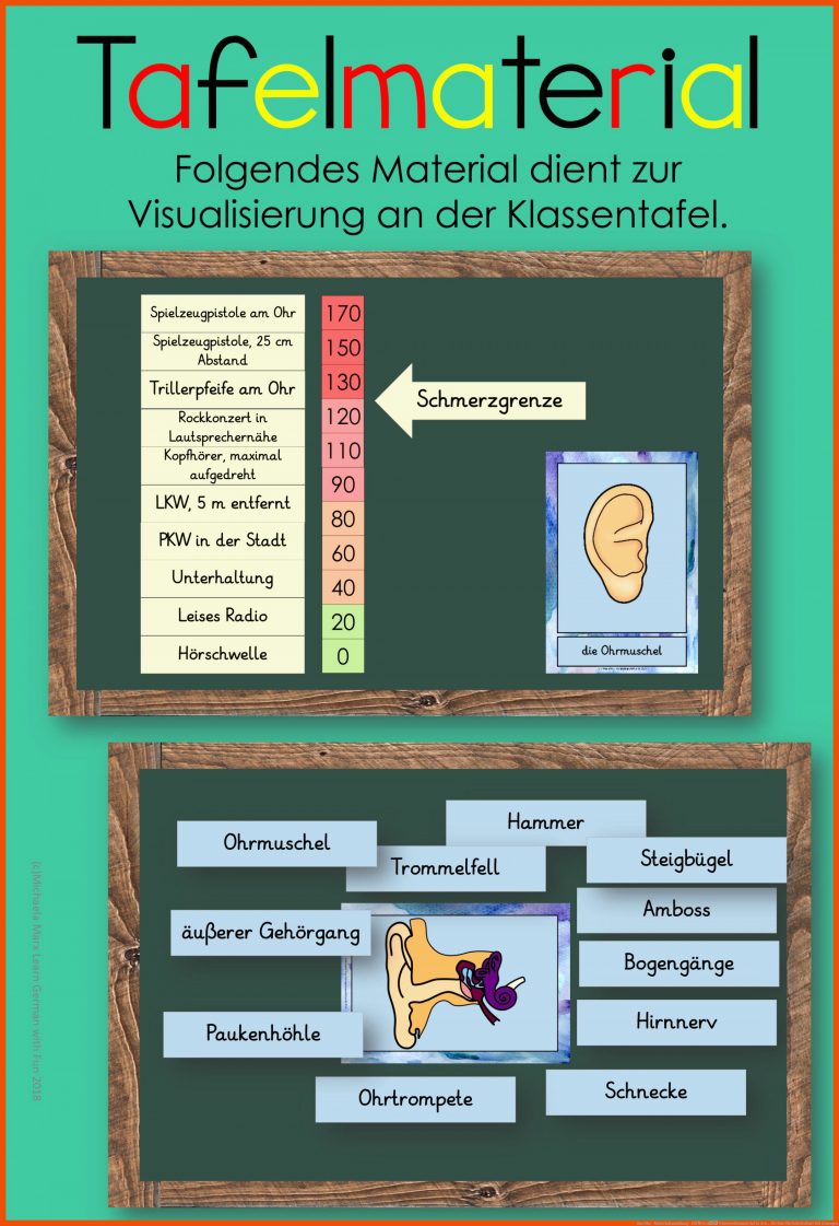 Das Ohr - Materialsammlung - HÃ¶ren â Unterrichtsmaterial in den ... für das ohr arbeitsblatt mit lösungen