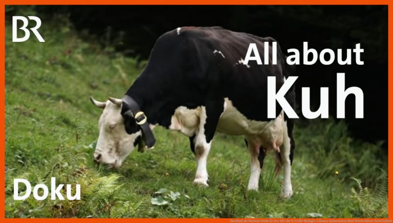 Das Rind als Nutztier | Doku Ã¼ber KÃ¼he & Co für biologie 5 klasse gymnasium rind wiederkäuer arbeitsblatt