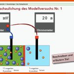 Das Ruhepotenzial Fuer Ruhepotential Arbeitsblatt