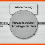 Das Wissenschaftlich-religionspÃ¤dagogische Lexikon Im Internet ... Fuer Basiskonzepte Biologie Arbeitsblatt