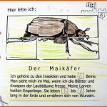 Das Zahlenland FÃ¼r Grundschulkinder - Zahlenland Prof. PreiÃ Fuer Beine Insekten Arbeitsblatt