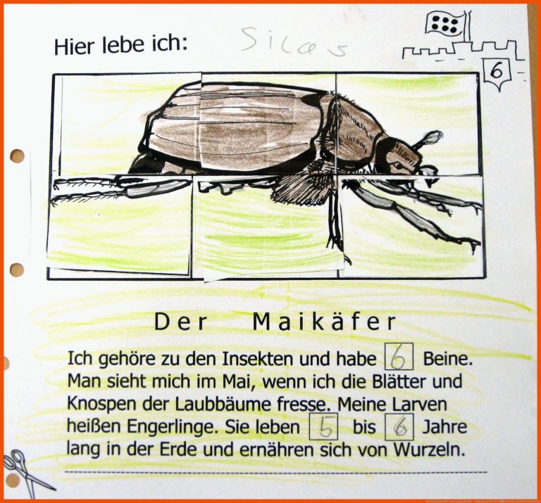 Das Zahlenland fÃ¼r Grundschulkinder - Zahlenland Prof. PreiÃ für beine insekten arbeitsblatt