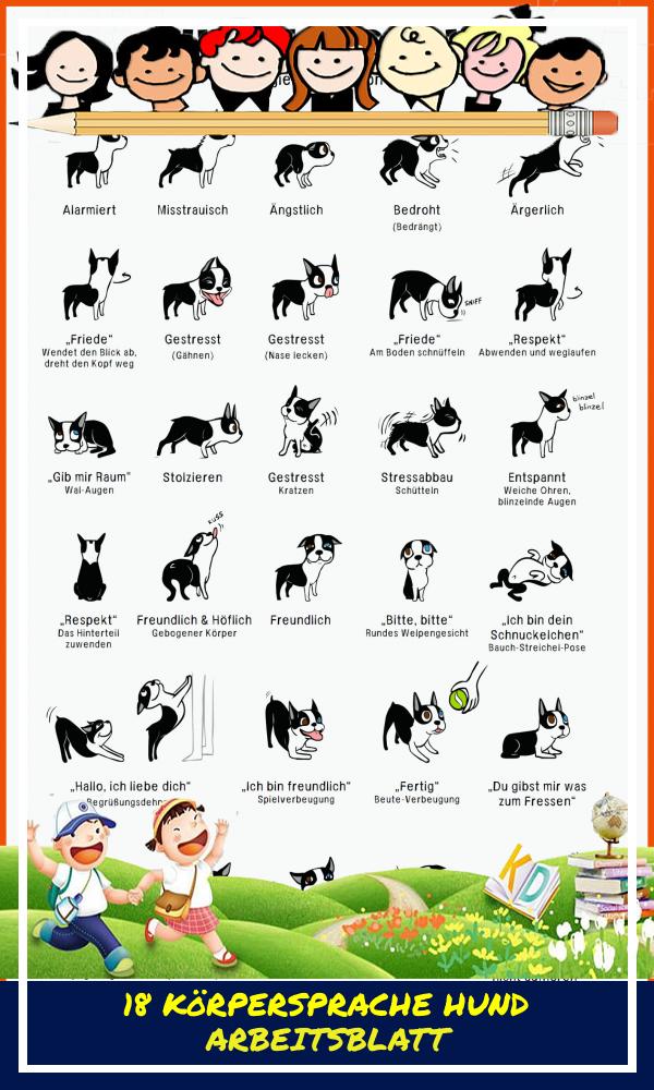 18 Körpersprache Hund Arbeitsblatt