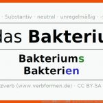 Deklination âbakteriumâ - Alle FÃ¤lle Des Substantivs, Plural Und ... Fuer Bakterienformen Arbeitsblatt