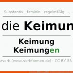 Deklination âkeimungâ - Alle FÃ¤lle Des Substantivs, Plural Und Artikel Fuer Keimung Arbeitsblatt