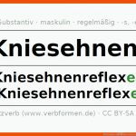 Deklination âkniesehnenreflexâ - Alle FÃ¤lle Des Substantivs ... Fuer Kniesehnenreflex Arbeitsblatt