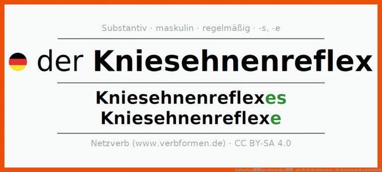 Deklination âKniesehnenreflexâ - alle FÃ¤lle des Substantivs ... für kniesehnenreflex arbeitsblatt