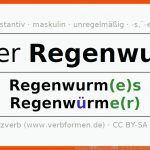 Deklination âregenwurmâ - Alle FÃ¤lle Des Substantivs, Plural Und ... Fuer Regenwurm Arbeitsblatt