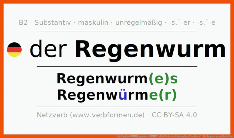 Deklination âRegenwurmâ - alle FÃ¤lle des Substantivs, Plural und ... für regenwurm arbeitsblatt