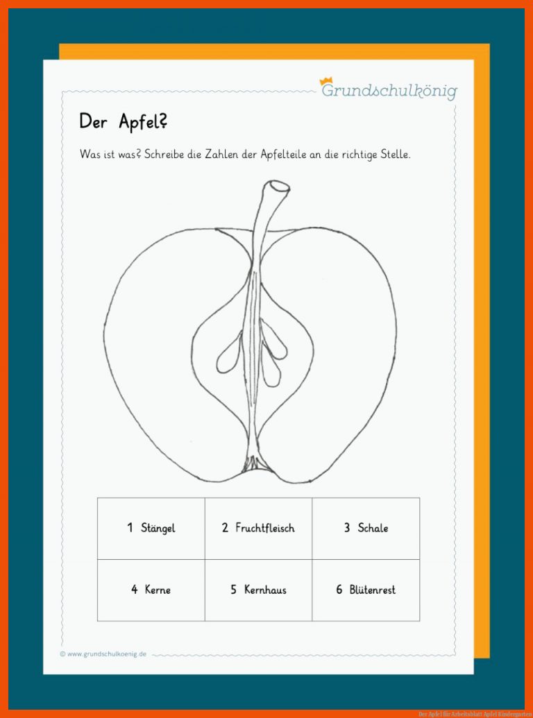 Der Apfel für arbeitsblatt apfel kindergarten