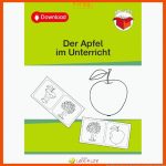 Der Apfel Im Unterricht Fuer Vom Kern Zum Apfel Arbeitsblatt