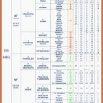 Der Aufbau Der Bibel - Die Struktur Der Bibel Und Der Menora Fuer Die Bücher Des Neuen Testaments Arbeitsblatt