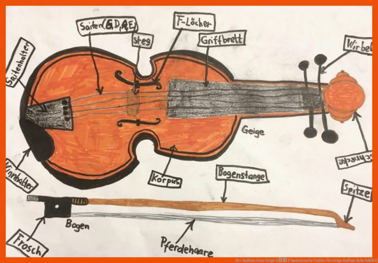 Der Aufbau einer Geige â Plaudertasche Online für geige aufbau arbeitsblatt