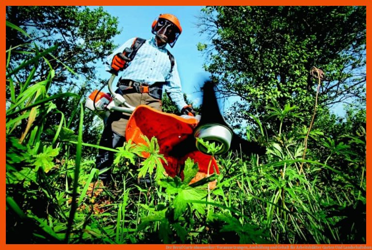 Der Beruf Gartenbauwerker: Voraussetzungen, Ausbildung und Gehalt für arbeitsblätter garten und landschaftsbau