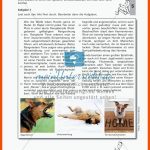 Der Hund: Sinnesleistungen Und Verhalten - Meinunterricht Fuer Arbeitsblatt Hund Klasse 5