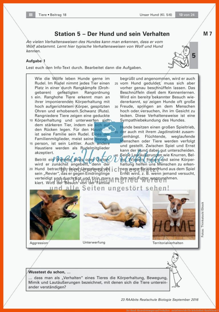 Der Hund: Sinnesleistungen und Verhalten - meinUnterricht für arbeitsblatt hund klasse 5
