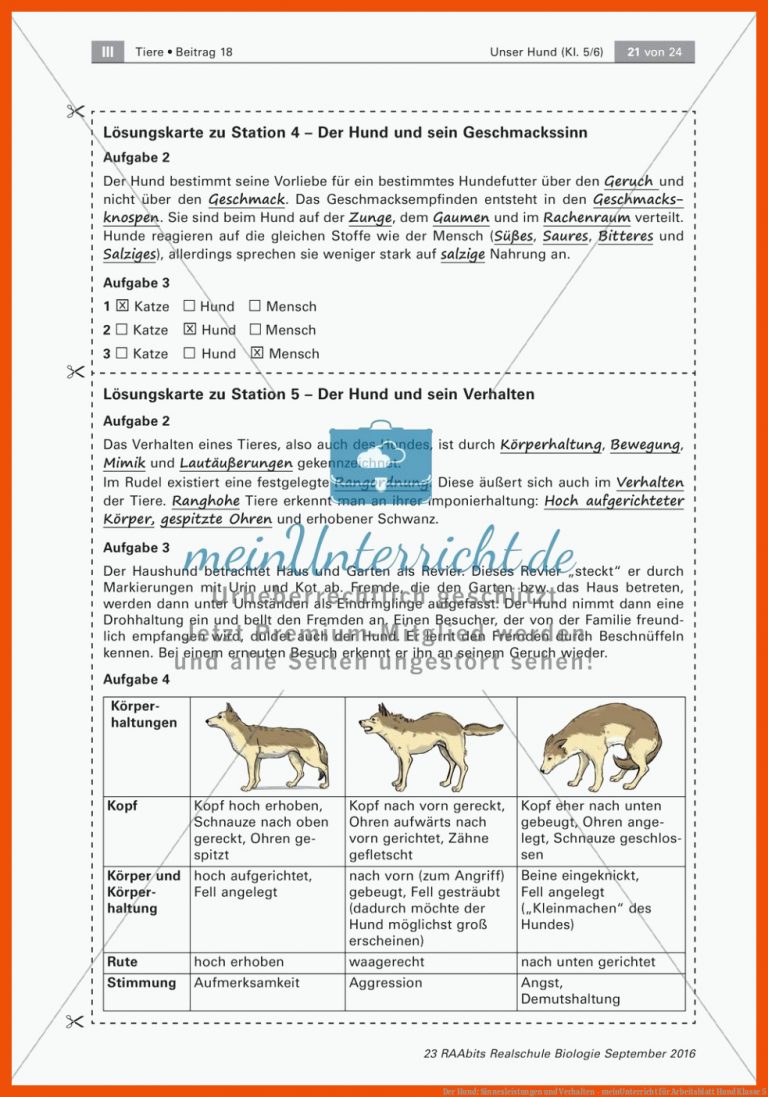 Der Hund: Sinnesleistungen und Verhalten - meinUnterricht für arbeitsblatt hund klasse 5