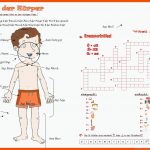 Der KÃ¶rper - Deutsch Daf Arbeitsblatter Fuer Der Körper Arbeitsblatt