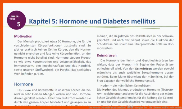 Der Mensch: Gesundheit und Krankheit â Therapien der ... für diabetes mellitus arbeitsblatt