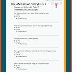 Der Menstruationszyklus Fuer Der Weibliche Zyklus Arbeitsblatt Lösungen