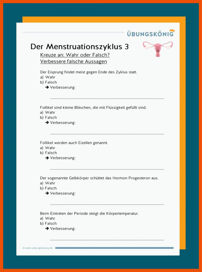 Der Menstruationszyklus für der weibliche zyklus arbeitsblatt lösungen