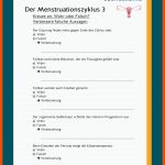 Der Menstruationszyklus Fuer Weibliche Geschlechtsorgane Arbeitsblatt Klett