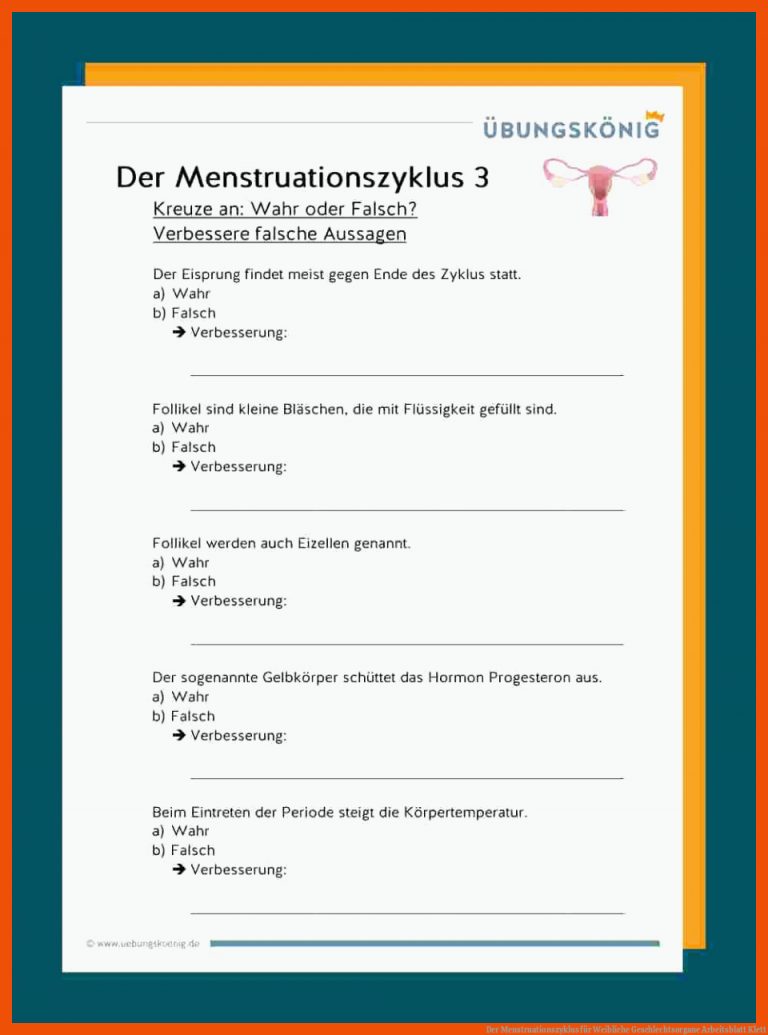 Der Menstruationszyklus für weibliche geschlechtsorgane arbeitsblatt klett