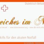 Der Notfallkoffer - Dialektisch Behaviorale therapie ... Fuer Dbt Arbeitsblätter Pdf