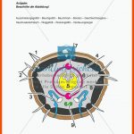 Der Regenwurm: KÃ¶rperbau - Meinunterricht Fuer Regenwurm Arbeitsblatt