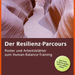Der Resilienzparcours: Poster Und ArbeitsblÃ¤tter Zum Human-balance-training. Zwei Poster In FlipchartgrÃ¶Ãe Und 20 ArbeitsblÃ¤tter In Der Sammelmappe. ... Fuer Zirkeltraining Arbeitsblätter