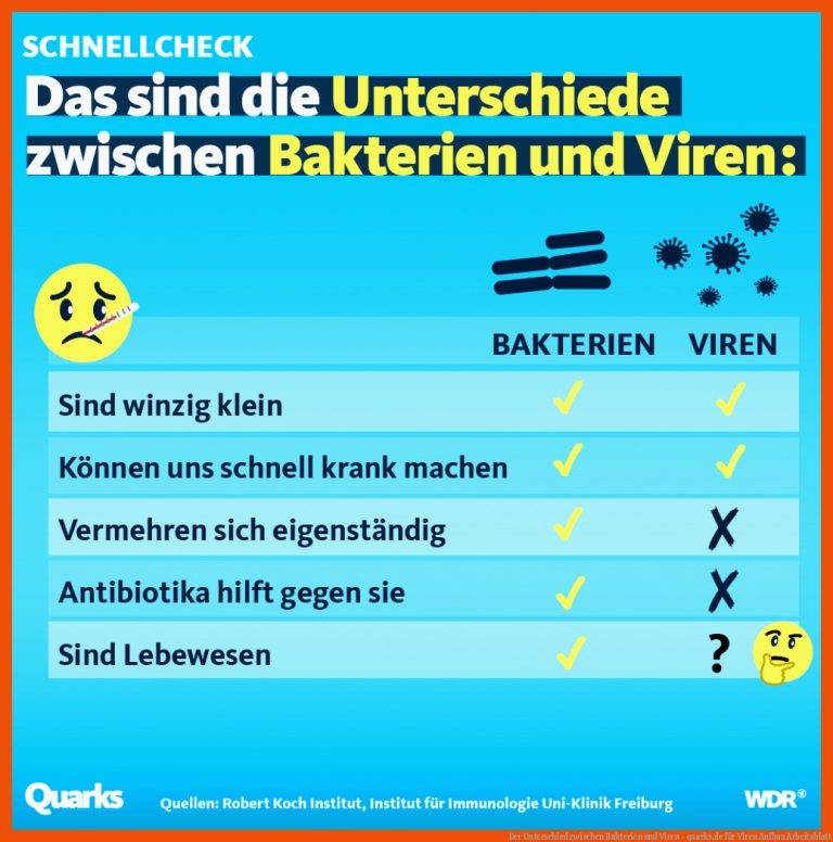 Der Unterschied zwischen Bakterien und Viren - quarks.de für viren aufbau arbeitsblatt