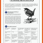 Der ZaunkÃ¶nig: Vogel Des Jahres 2004 - - Ein Arbeitsblatt Zum ... Fuer Bau Des Vogelkörpers Arbeitsblatt Lösungen