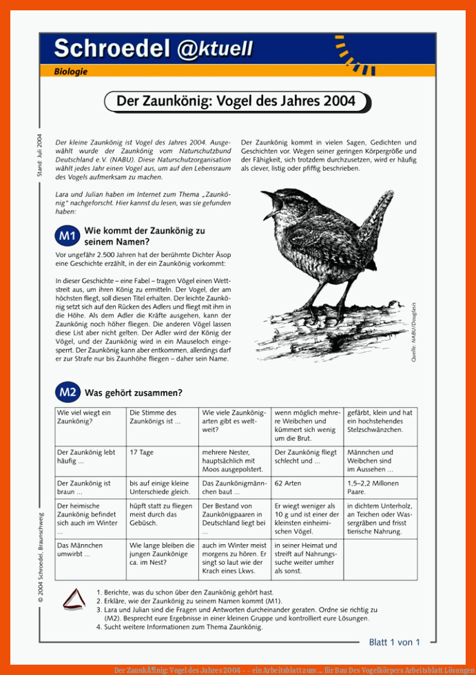 Der ZaunkÃ¶nig: Vogel des Jahres 2004 - - ein Arbeitsblatt zum ... für bau des vogelkörpers arbeitsblatt lösungen