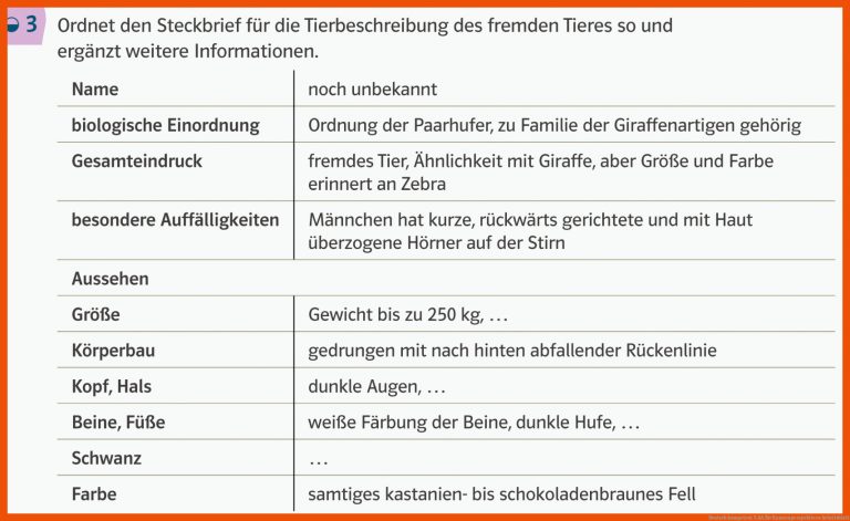 Deutsch Kompetent 5 Aa Fuer Kameraperspektiven Arbeitsblatt