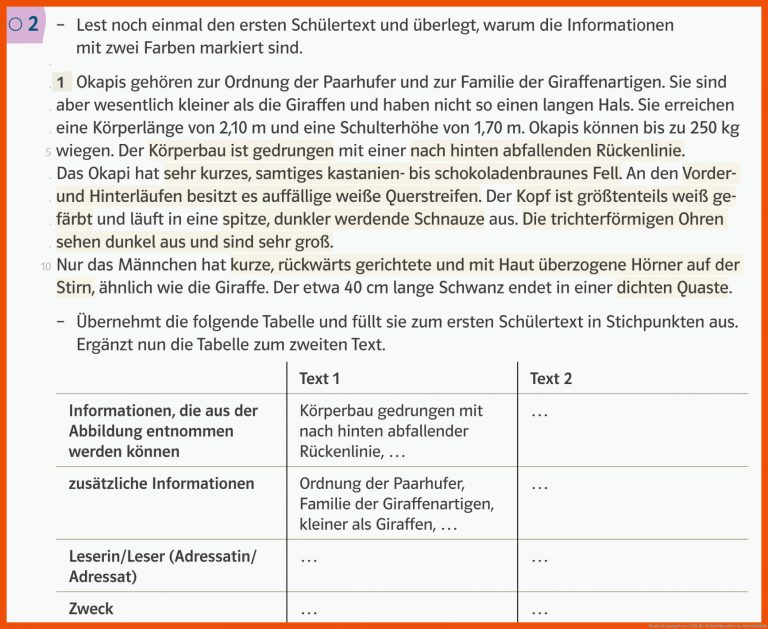 Deutsch kompetent 5 AA für schreibkonferenz arbeitsblatt