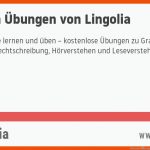 Deutsch Ãbungen Von Lingolia Fuer Konditionalsätze Deutsch Arbeitsblätter
