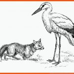 Deutschland-lese Der Fuchs Und Der Storch Fuer Der Fuchs Und Der Storch Arbeitsblatt