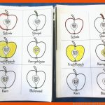 Die 1b Lernt Ã¼ber Den Apfel Fuer Arbeitsblatt Apfel Kindergarten