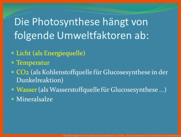 Die AbhÃ¤ngigkeit Der Fotosynthese Von Umweltfaktoren - Ppt Video ... Fuer Fotosynthese Bei Licht Und Schatten Arbeitsblatt Lösung