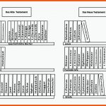 Die BÃ¼cher Der Bibel Christliche Perlen Fuer Die Bücher Des Neuen Testaments Arbeitsblatt