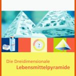 Die Dreidimensionale Dge-lebensmittelpyramide Von Jungvogel, Dipl.-oec Fuer Lebensmittelpyramide Arbeitsblatt