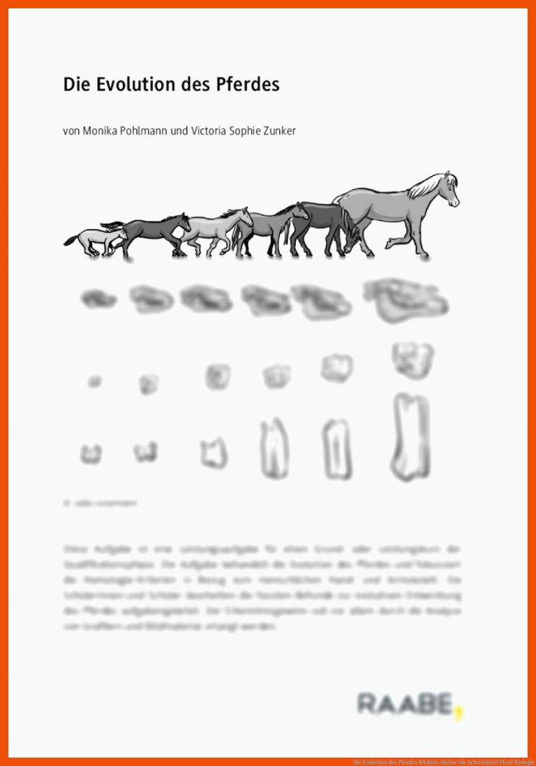 Die Evolution des Pferdes | RAAbits Online für arbeitsblatt pferd biologie