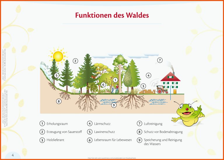 Die Funktionen des Waldes | Waldspiele Steiermark für funktionen des waldes arbeitsblatt