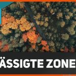 Die GemÃ¤Ãigte Zone Einfach ErklÃ¤rt - Klimazonen 6 Fuer Kalte Zone Arbeitsblatt