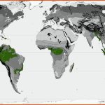 Die Immerfeuchten Tropen - Geographie Fuer Oberflächenformen Afrikas Arbeitsblatt