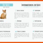 Die Katze - Materialguru Fuer Arbeitsblatt Katze