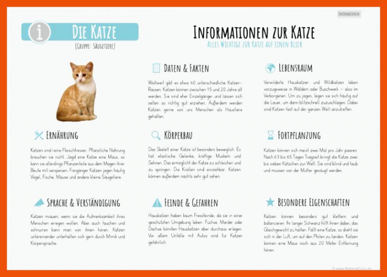 Die Katze - MaterialGuru für arbeitsblatt katze