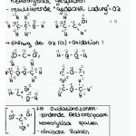 Die Oxidationszahl - Unterrichtsstunde Vom 25.01.2017, 26.01.2017 ... Fuer Oxidationszahlen Bei organischen Verbindungen Arbeitsblatt Lösungen