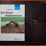 Die Rote Waldameise: Biologie & Verhalten [extra AusfÃ¼hrlich] Fuer Rote Waldameise Arbeitsblatt